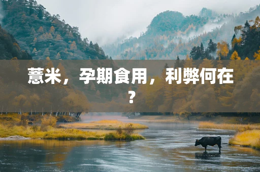 薏米，孕期食用，利弊何在？