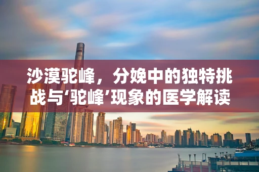 沙漠驼峰，分娩中的独特挑战与‘驼峰’现象的医学解读