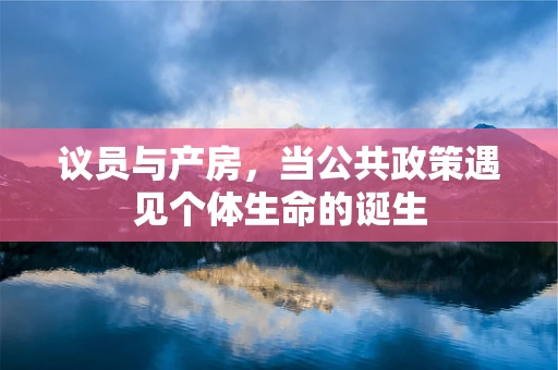 议员与产房，当公共政策遇见个体生命的诞生