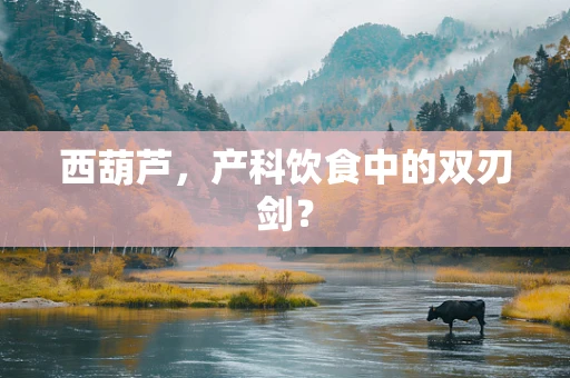 西葫芦，产科饮食中的双刃剑？
