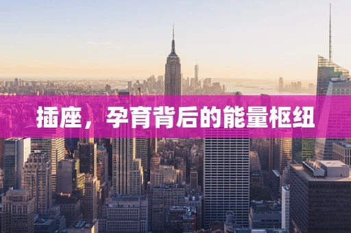 插座，孕育背后的能量枢纽