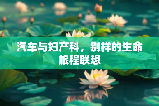 汽车与妇产科，别样的生命旅程联想