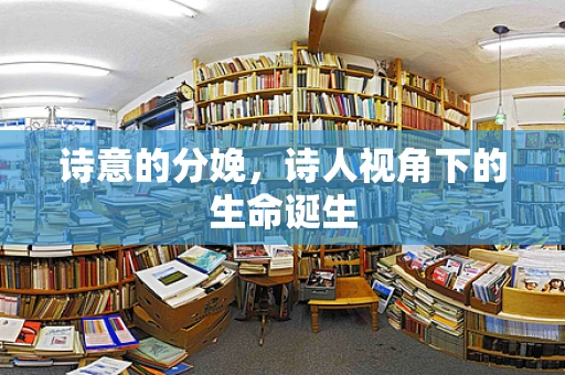诗意的分娩，诗人视角下的生命诞生