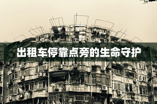 出租车停靠点旁的生命守护