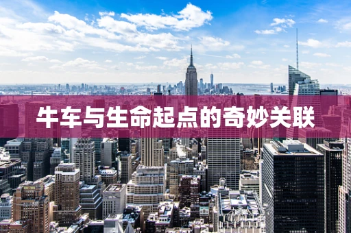 牛车与生命起点的奇妙关联