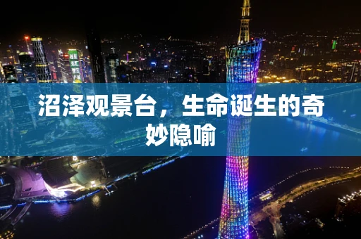 沼泽观景台，生命诞生的奇妙隐喻