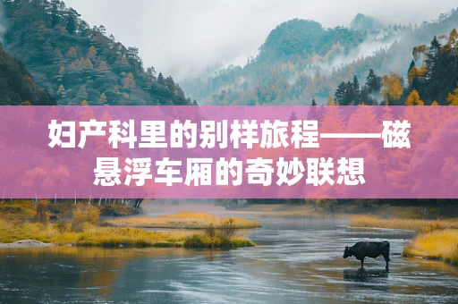 妇产科里的别样旅程——磁悬浮车厢的奇妙联想