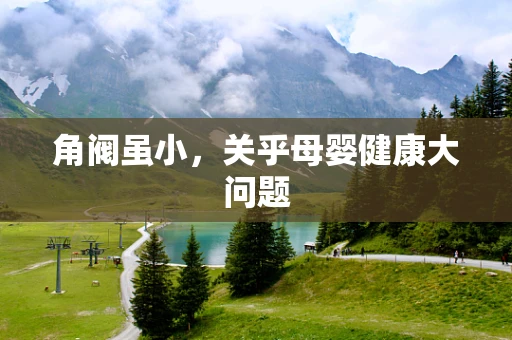 角阀虽小，关乎母婴健康大问题
