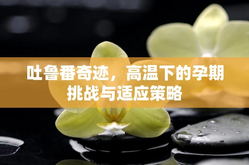 吐鲁番奇迹，高温下的孕期挑战与适应策略