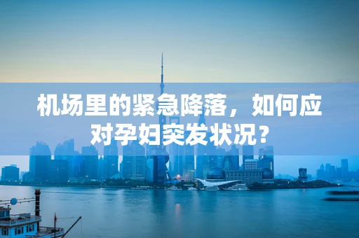 机场里的紧急降落，如何应对孕妇突发状况？
