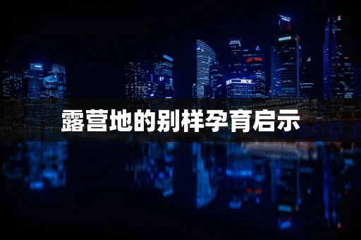 露营地的别样孕育启示