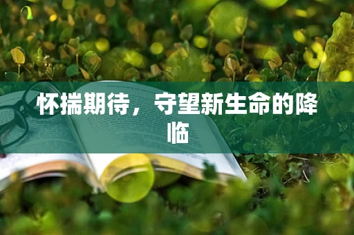 怀揣期待，守望新生命的降临