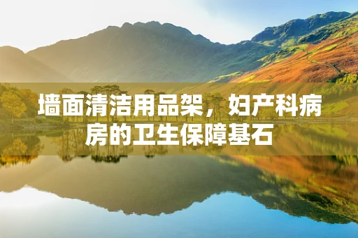 墙面清洁用品架，妇产科病房的卫生保障基石