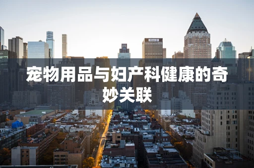宠物用品与妇产科健康的奇妙关联