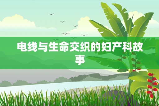 电线与生命交织的妇产科故事