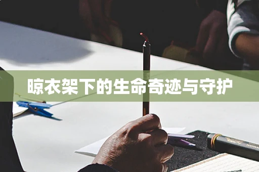 晾衣架下的生命奇迹与守护