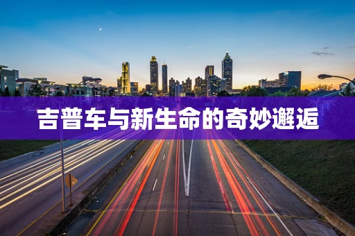 吉普车与新生命的奇妙邂逅