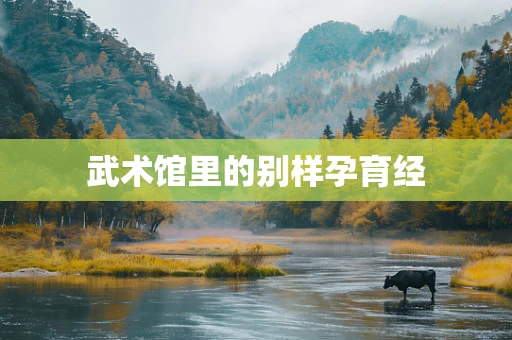 武术馆里的别样孕育经