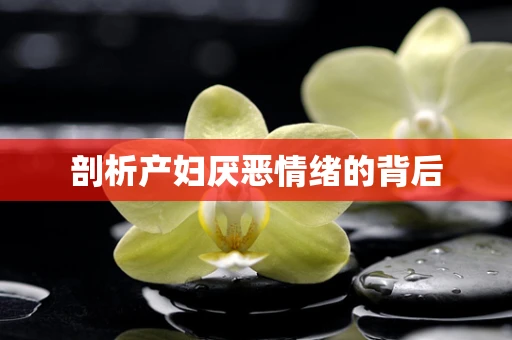 剖析产妇厌恶情绪的背后