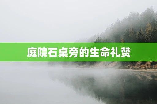 庭院石桌旁的生命礼赞