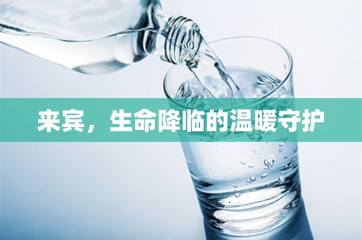 来宾，生命降临的温暖守护