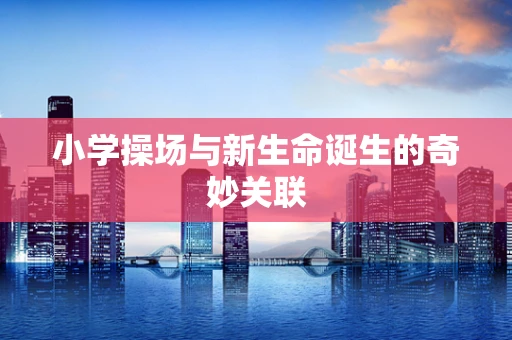 小学操场与新生命诞生的奇妙关联