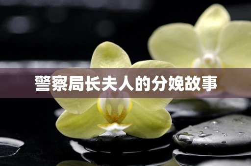 警察局长夫人的分娩故事