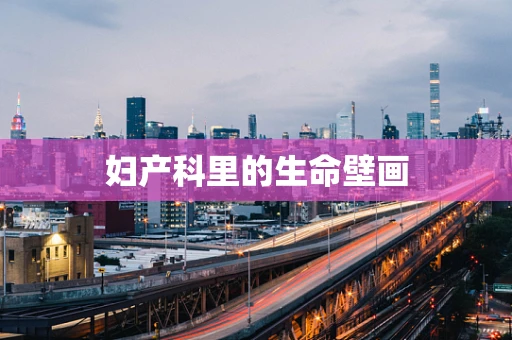 妇产科里的生命壁画
