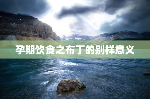 孕期饮食之布丁的别样意义