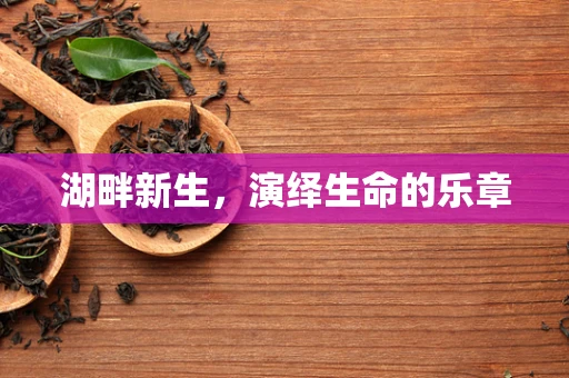 湖畔新生，演绎生命的乐章
