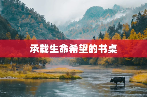 承载生命希望的书桌