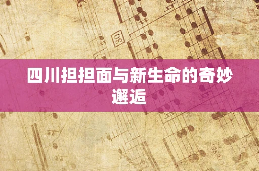 四川担担面与新生命的奇妙邂逅