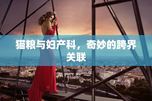 猫粮与妇产科，奇妙的跨界关联