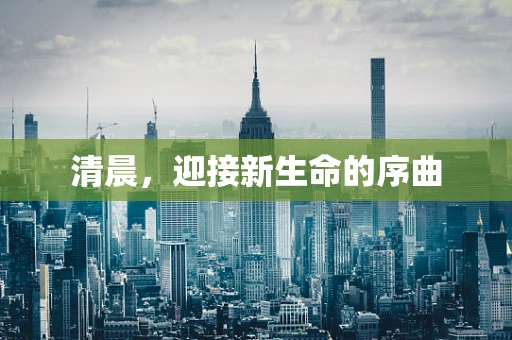 清晨，迎接新生命的序曲