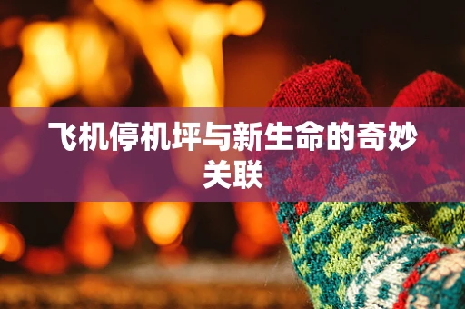 飞机停机坪与新生命的奇妙关联