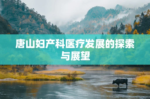 唐山妇产科医疗发展的探索与展望