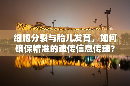 细胞分裂与胎儿发育，如何确保精准的遗传信息传递？