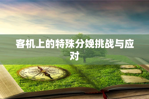 客机上的特殊分娩挑战与应对
