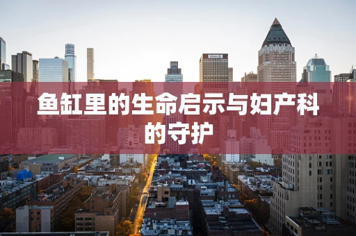 鱼缸里的生命启示与妇产科的守护