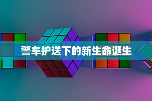 警车护送下的新生命诞生