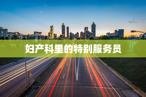 妇产科里的特别服务员