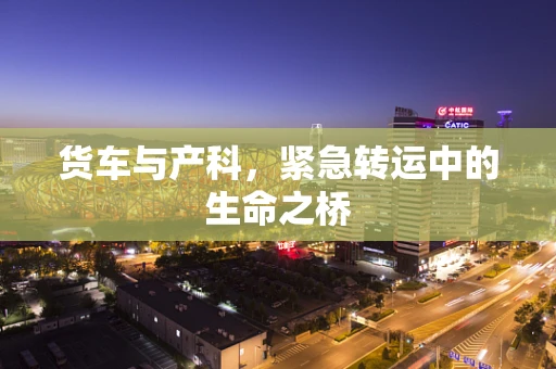 货车与产科，紧急转运中的生命之桥