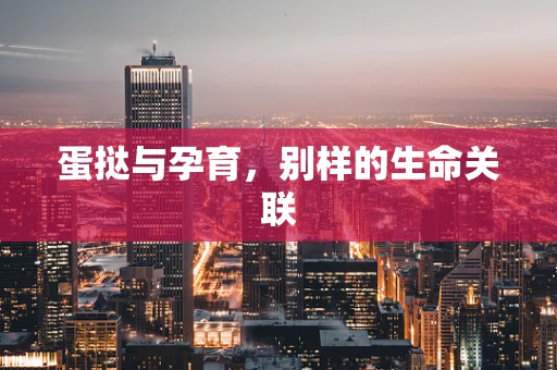 蛋挞与孕育，别样的生命关联