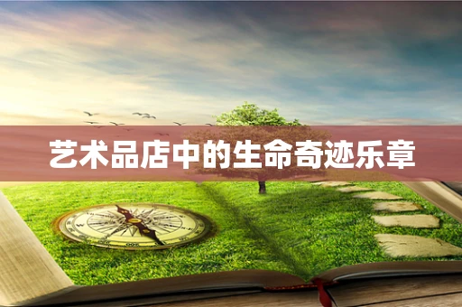 艺术品店中的生命奇迹乐章