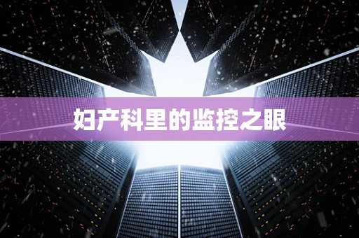 妇产科里的监控之眼