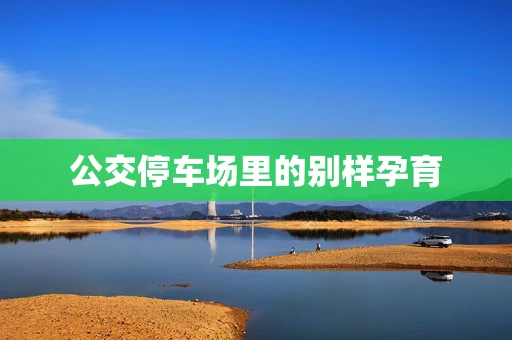 公交停车场里的别样孕育