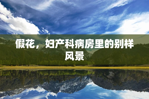 假花，妇产科病房里的别样风景