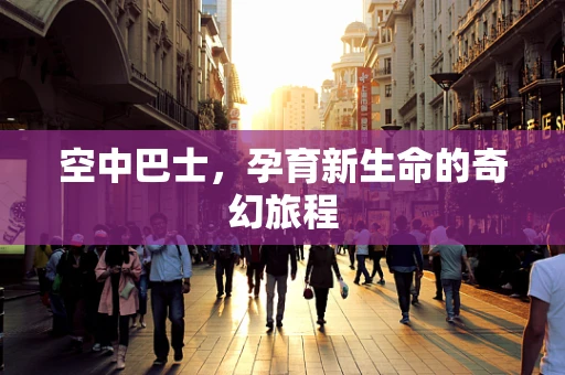空中巴士，孕育新生命的奇幻旅程
