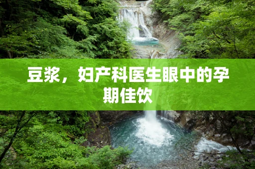 豆浆，妇产科医生眼中的孕期佳饮