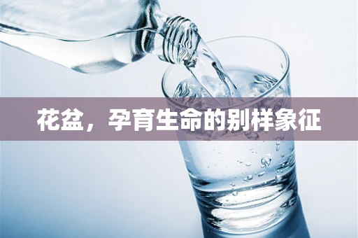 花盆，孕育生命的别样象征